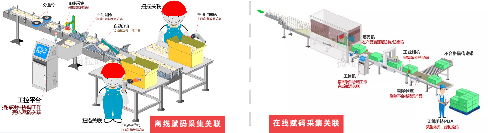 赋码方式